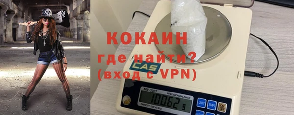 стаф Арсеньев