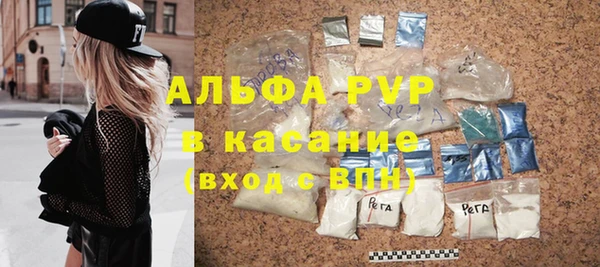 стаф Арсеньев