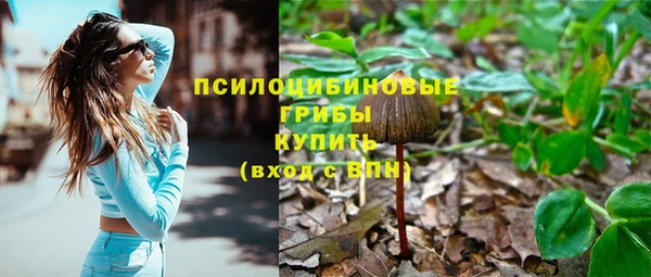дживик Армянск